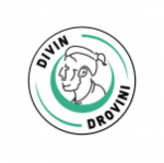 Divin Drovini