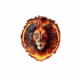FC Lion