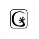 Gecko C/5