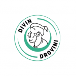 Divin Drovini
